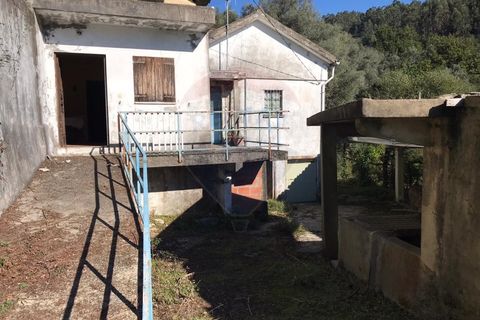 Villa i Vade, Braga, Vade - € 60.000 | Ref: 126371008-7 - foto 15