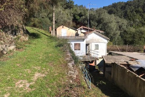 Villa i Vade, Braga, Vade - € 60.000 | Ref: 126371008-7 - foto 18