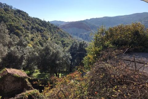 Villa i Vade, Braga, Vade - € 60.000 | Ref: 126371008-7 - foto 21