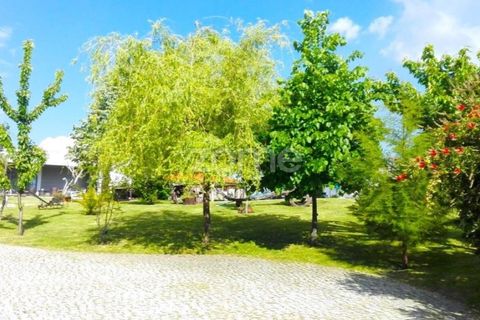 Farm i Baiao, Porto, Baiao - € 690.000 | Ref: ZMPT540733 - foto 10