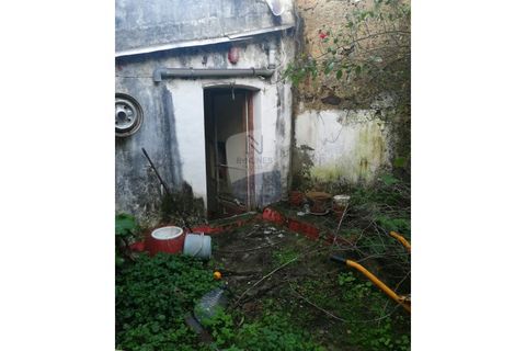 Villa a Avis, Portalegre, Avis - € 56.500 | Ref: ID 01001067-09 - foto 13