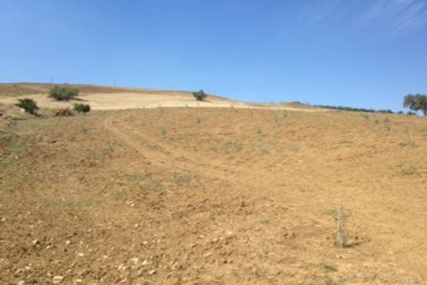 Terra a Colmenar, Malaga, Colmenar - € 125.000 | Ref: ID3913 - foto 7