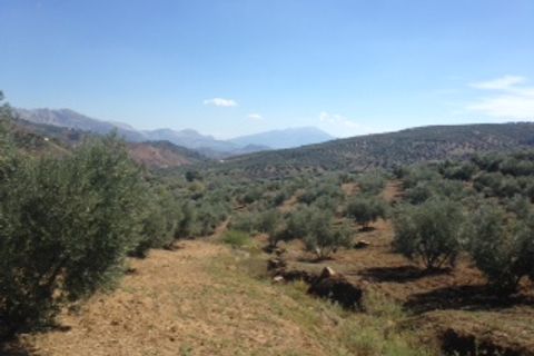 Terra a Colmenar, Malaga, Colmenar - € 125.000 | Ref: ID3913 - foto 4