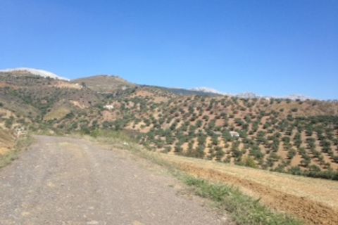 Terra a Colmenar, Malaga, Colmenar - € 125.000 | Ref: ID3913 - foto 5