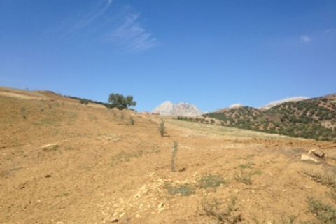 Terra a Colmenar, Malaga, Colmenar - € 125.000 | Ref: ID3913 - foto 9