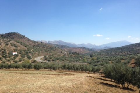 Terra a Colmenar, Malaga, Colmenar - € 125.000 | Ref: ID3913 - foto 8