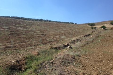 Terra a Colmenar, Malaga, Colmenar - € 125.000 | Ref: ID3913 - foto 6