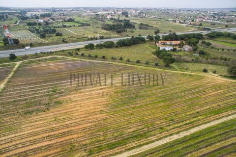 Farm i Palmela, Setubal, Palmela - € 4.500.000 | Ref: 7652 - foto 4