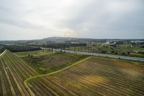 Farm i Palmela, Setubal, Palmela - € 4.500.000 | Ref: 7652 - foto 7
