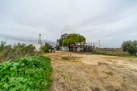 Farm i Palmela, Setubal, Palmela - € 4.500.000 | Ref: 7652 - foto 11