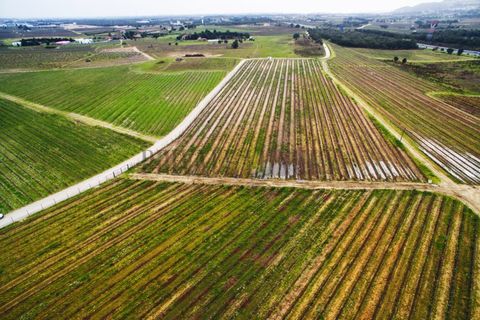 Farm i Palmela, Setubal, Palmela - € 4.500.000 | Ref: 7652 - foto 1