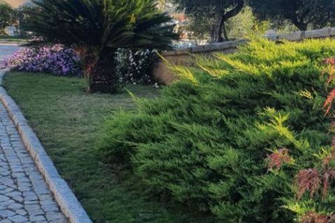 Byhus i Lamego, Viseu, Lamego - € 490.000 | Ref: 803211008 - foto 7