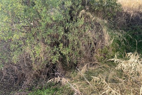 Byhus i Iznajar, Cordoba, Iznajar - € 90.000 | Ref: ID3914 - foto 24
