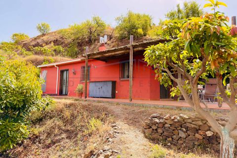 Landejendom i Jete, Granada, Jete - € 1.295.000 | Ref: V455 - foto 43