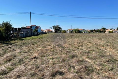 Helårsgrund i Alpiarca, Santarem, Alpiarca - € 51.150 | Ref: 1434 - foto 2