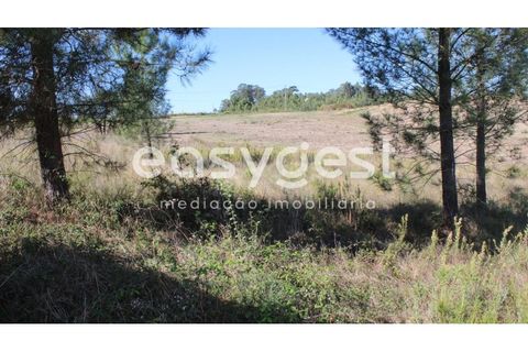 Helårsgrund i Tomar, Santarem, Tomar - € 29.900 | Ref: TM85457 - foto 1