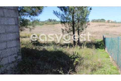 Helårsgrund i Tomar, Santarem, Tomar - € 29.900 | Ref: TM85457 - foto 2