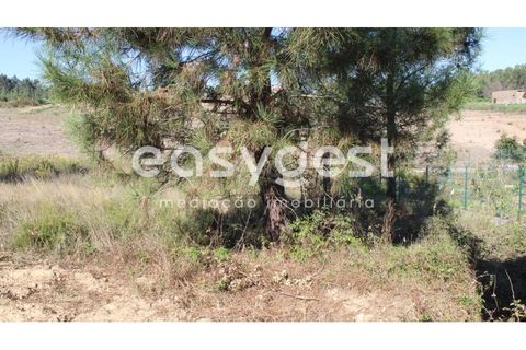 Helårsgrund i Tomar, Santarem, Tomar - € 29.900 | Ref: TM85457 - foto 3