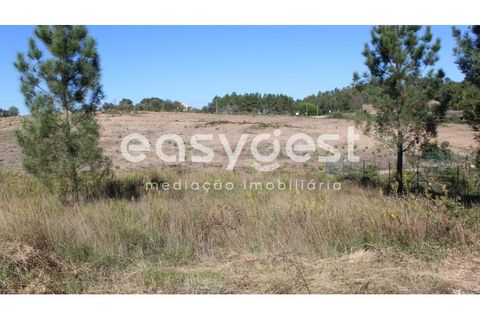 Helårsgrund i Tomar, Santarem, Tomar - € 29.900 | Ref: TM85457 - foto 4