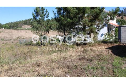 Helårsgrund i Tomar, Santarem, Tomar - € 29.900 | Ref: TM85457 - foto 5