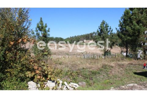 Helårsgrund i Tomar, Santarem, Tomar - € 29.900 | Ref: TM85457 - foto 6