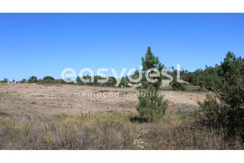 Helårsgrund i Tomar, Santarem, Tomar - € 29.900 | Ref: TM85457 - foto 7