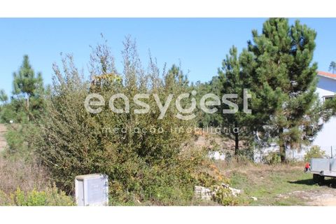 Helårsgrund i Tomar, Santarem, Tomar - € 29.900 | Ref: TM85457 - foto 8