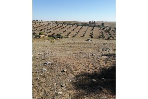 Helårsgrund i Beja, Beja, Beja - € 149.750 | Ref: TER_57 - foto 3