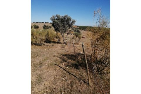 Helårsgrund i Beja, Beja, Beja - € 149.750 | Ref: TER_57 - foto 4