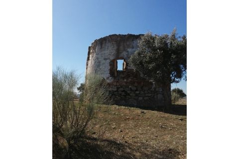 Helårsgrund i Beja, Beja, Beja - € 149.750 | Ref: TER_57 - foto 5