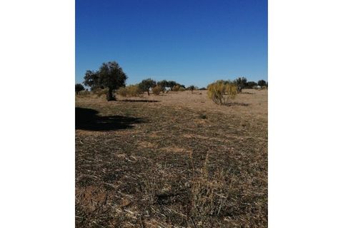 Helårsgrund i Beja, Beja, Beja - € 149.750 | Ref: TER_57 - foto 6