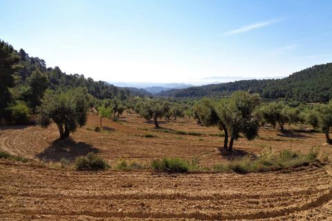 Finca i Maella, Zaragoza, Maella - € 21.000 | Ref: 0727 - foto 17