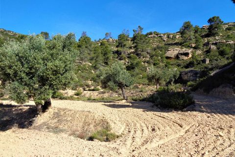 Finca i Maella, Zaragoza, Maella - € 21.000 | Ref: 0727 - foto 16