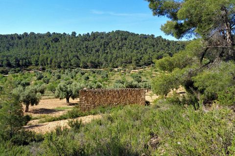 Finca i Maella, Zaragoza, Maella - € 21.000 | Ref: 0727 - foto 1