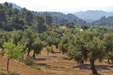 Finca i Maella, Zaragoza, Maella - € 21.000 | Ref: 0727 - foto 18