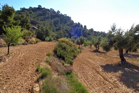 Finca i Maella, Zaragoza, Maella - € 21.000 | Ref: 0727 - foto 12
