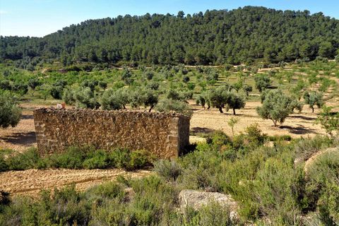 Finca i Maella, Zaragoza, Maella - € 21.000 | Ref: 0727 - foto 19
