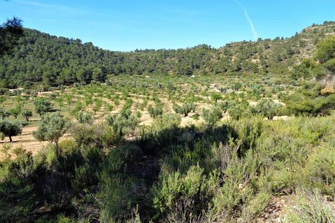 Finca i Maella, Zaragoza, Maella - € 21.000 | Ref: 0727 - foto 21
