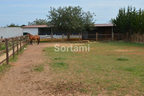 Villa i Albufeira, Faro, Albufeira - € 1.900.000 | Ref: Sort6189 - foto 24