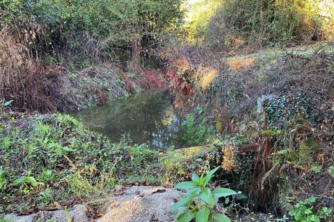 Helårsgrund i Arcos de Valdevez, Viana do Castelo, Arcos de Valdevez - € 80.000 | Ref: AVV-1934-JC-1021 - foto 2