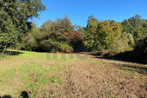 Helårsgrund i Arcos de Valdevez, Viana do Castelo, Arcos de Valdevez - € 80.000 | Ref: AVV-1934-JC-1021 - foto 4