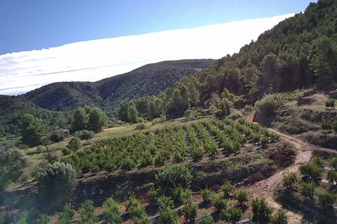 Helårsgrund i Orba, Alicante, Orba - € 200.000 | Ref: 00879 - foto 3