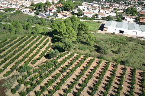 Helårsgrund i Orba, Alicante, Orba - € 200.000 | Ref: 00879 - foto 6