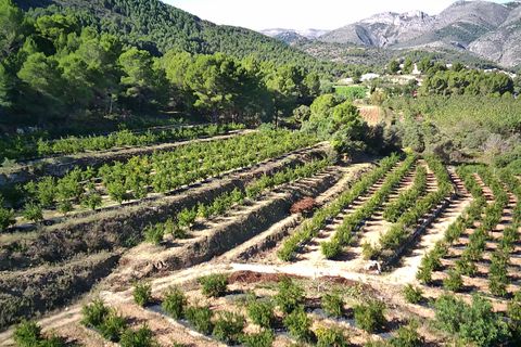 Helårsgrund i Orba, Alicante, Orba - € 200.000 | Ref: 00879 - foto 7