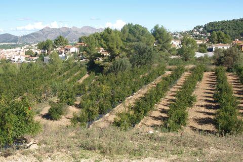Helårsgrund i Orba, Alicante, Orba - € 200.000 | Ref: 00879 - foto 8