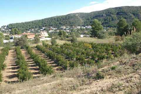 Helårsgrund i Orba, Alicante, Orba - € 200.000 | Ref: 00879 - foto 9