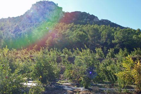 Helårsgrund i Orba, Alicante, Orba - € 200.000 | Ref: 00879 - foto 12