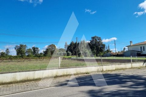 Terra a Sosa, Aveiro, Sosa - € 99.500 | Ref: 1040370/21 BR - foto 2