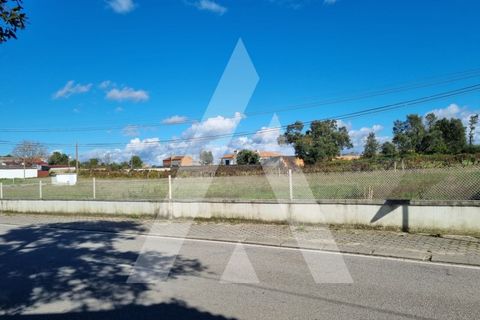 Terra a Sosa, Aveiro, Sosa - € 99.500 | Ref: 1040370/21 BR - foto 3