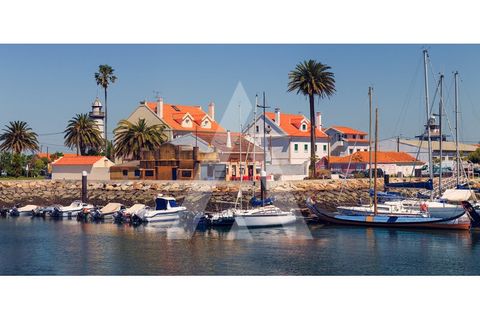 Terra a Sosa, Aveiro, Sosa - € 99.500 | Ref: 1040370/21 BR - foto 4